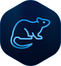 Rodent