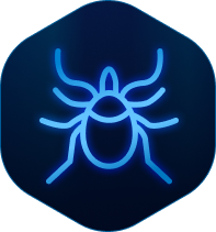 Spiders